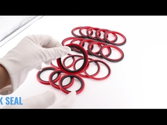 SPGO Glyd Seal HBTS สเต็ปซีล